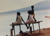 28 1986 2 Gizo Solomans