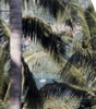 46 1987 01 Thailand